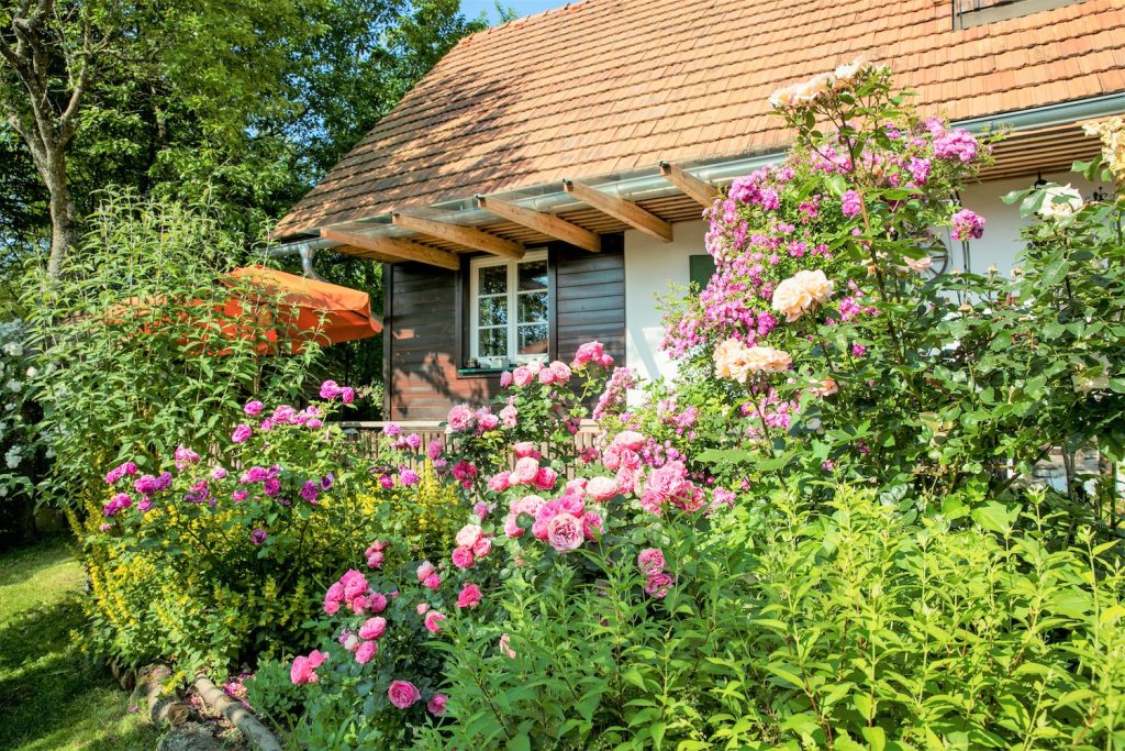 Rosenblüte Ferienhaus Romantikstöckl Altes Gehöft am Lormanberg