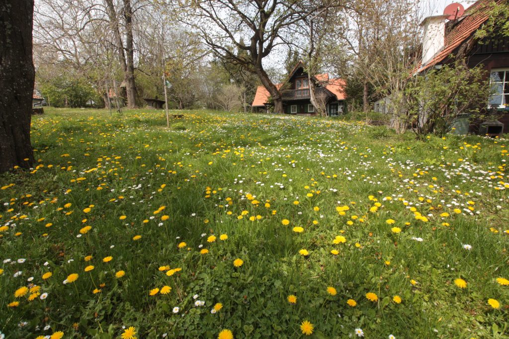 Osterurlaub im Ferienhaus Hoamatl