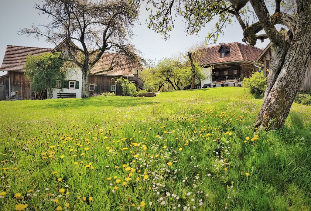Winzerhaus und Presshaus am Alten Gehöft