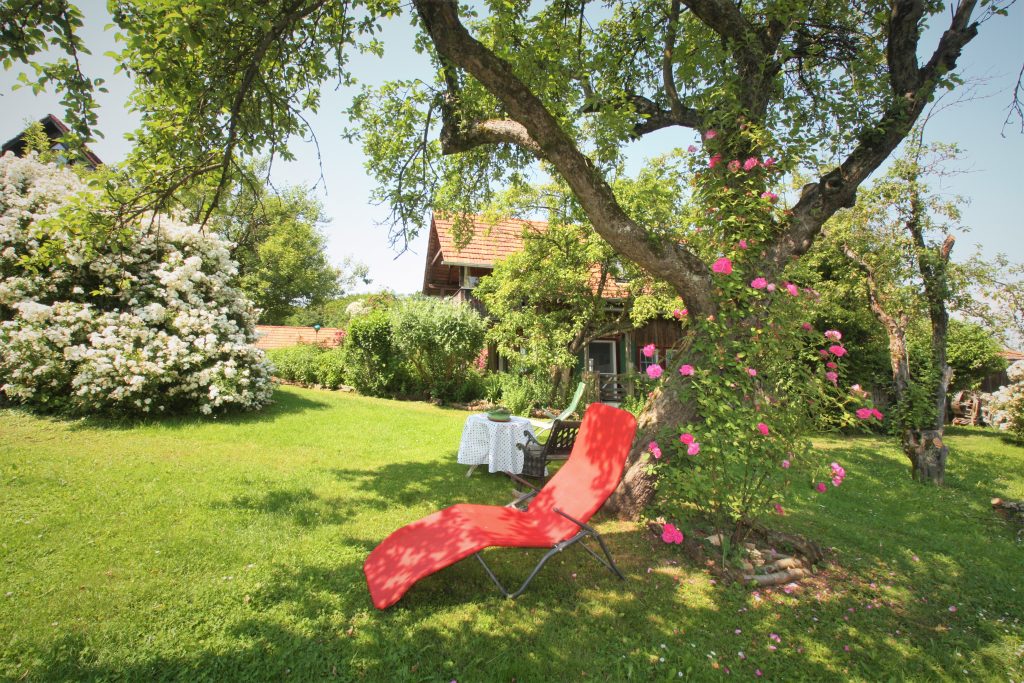 Rosenblüte Altes Gehöft am Lormanberg Thermen- u. Vulkanland Steiermark