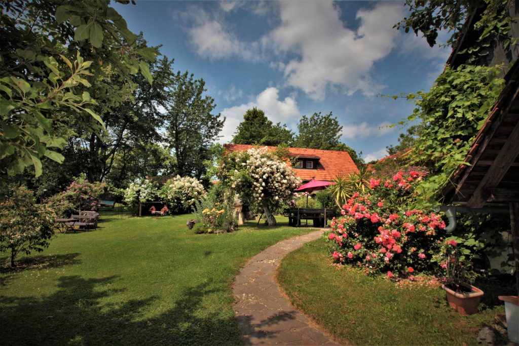 Rosenblüte Altes Gehöft am Lormanberg Thermen- u. Vulkanland Steiermark