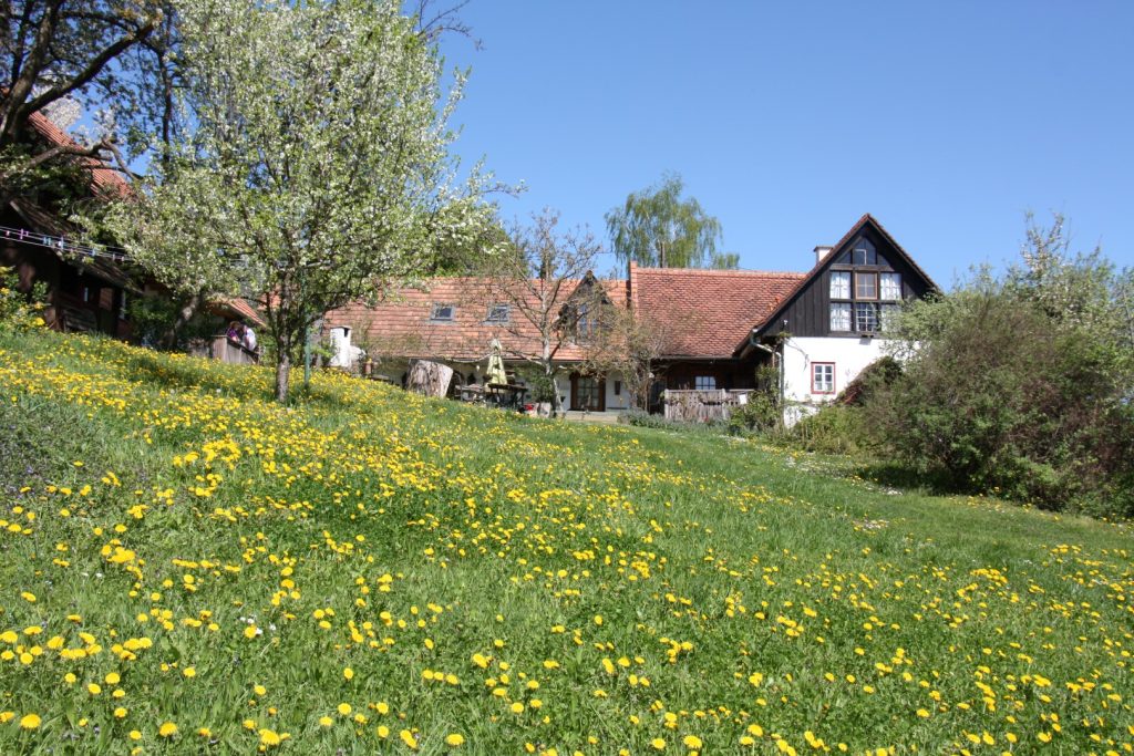 Frühling Altes Gehöft am Lormanberg